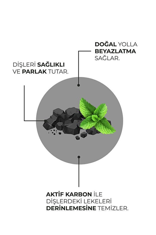 Agarta Doğal Hindistan Cevizi Özlü Aktif Karbonlu Florürsüz Diş Macunu 100 ml