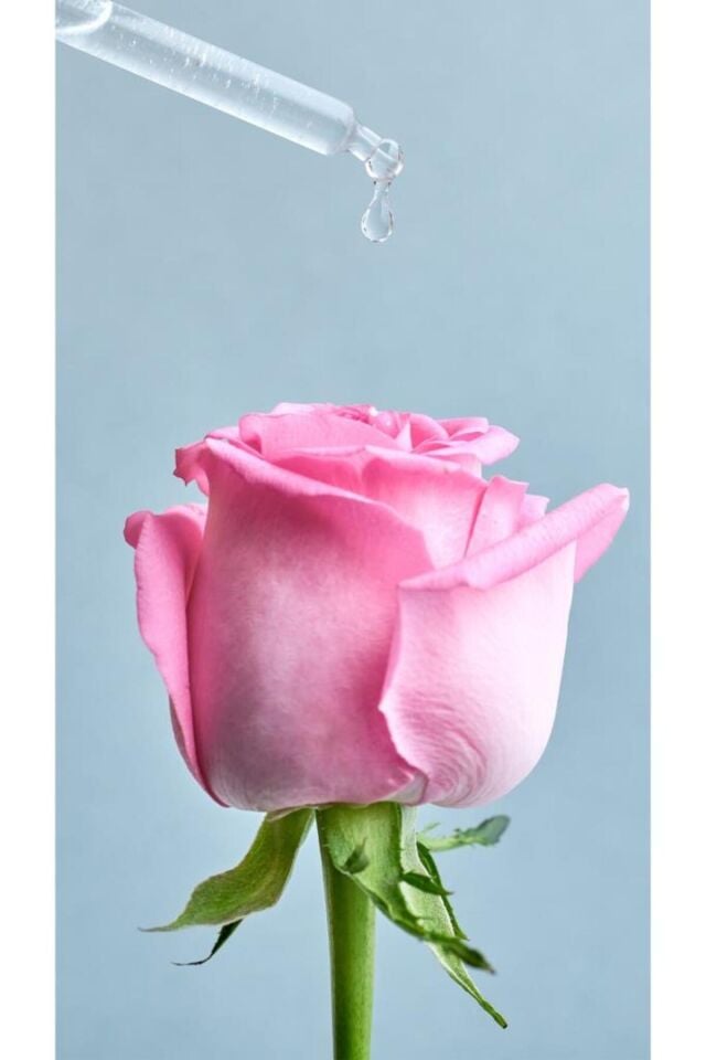 NIVEA Aqua Rose Organik Gül Suyu Içeren Makyaj Temizleme Jeli 150ml, Suya Dayanıklı Makyajı Çıkarır