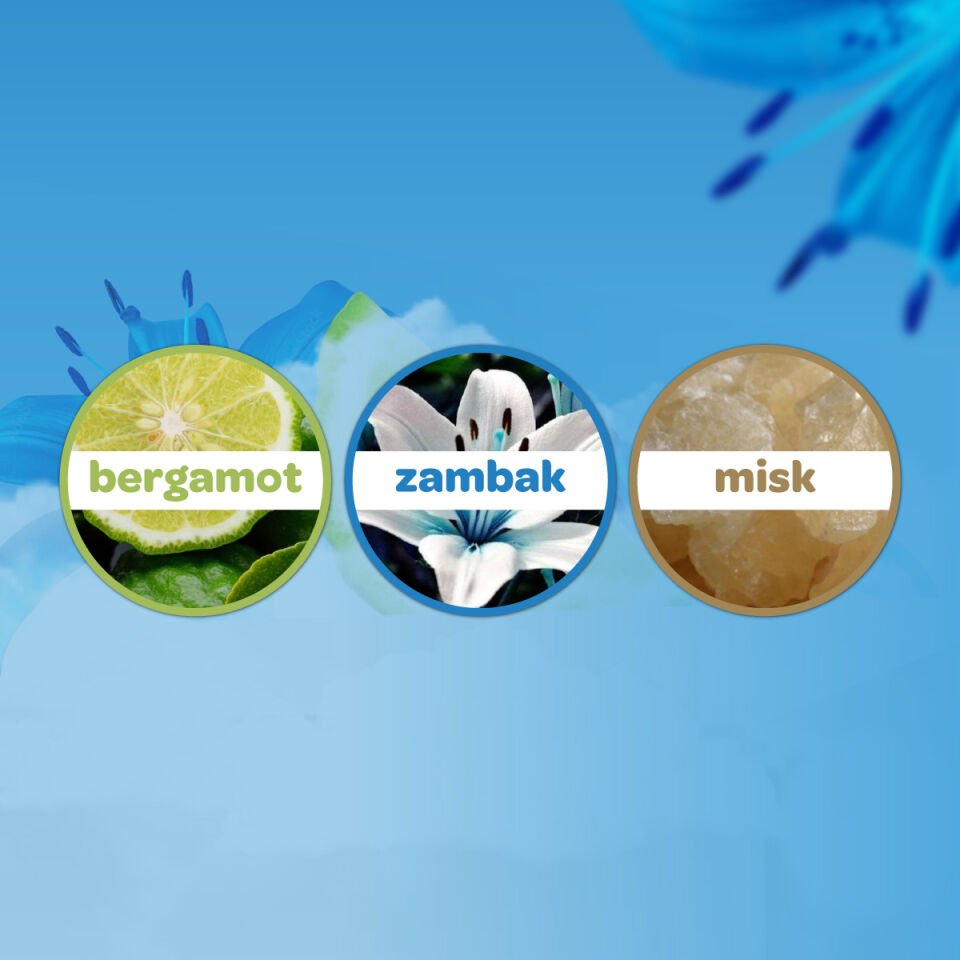 Dalin Deniz Esintisi Bebek Kolonyası 150ML